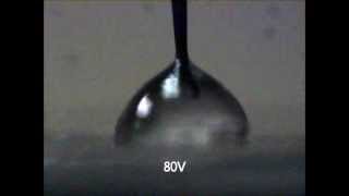EWOD on Teflon/Parylene C dielectric layer with graphene electrodes