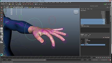 Maya Rigging 6: Custom attributes and Set Driven Keys for finger curls.