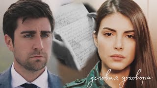 картинка: условия договора | yagiz × hazan