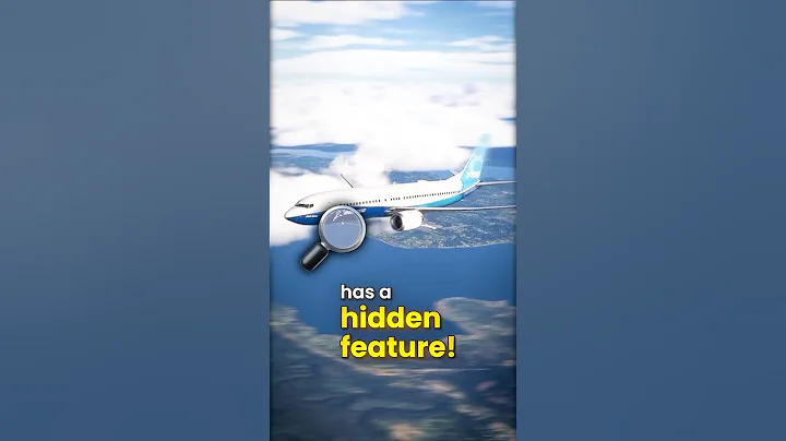 Boeing 737 MAX Feature You Didn't Know About!