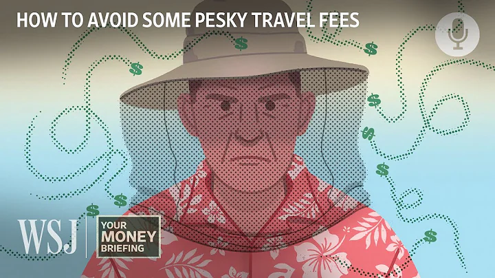 Annoying Summer Vacation Travel Fees to Watch Out For | WSJ Your Money Briefing - DayDayNews