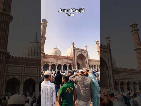 اكسبلور اغاني متابعه لايك تصميمي Ihavethisthingwithplants Travel Love Jamiavlog 