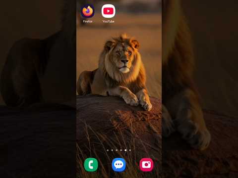 How to Remove