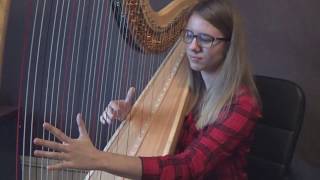 Elegy for the Arctic -  Ludovico Einaudi (harp cover)