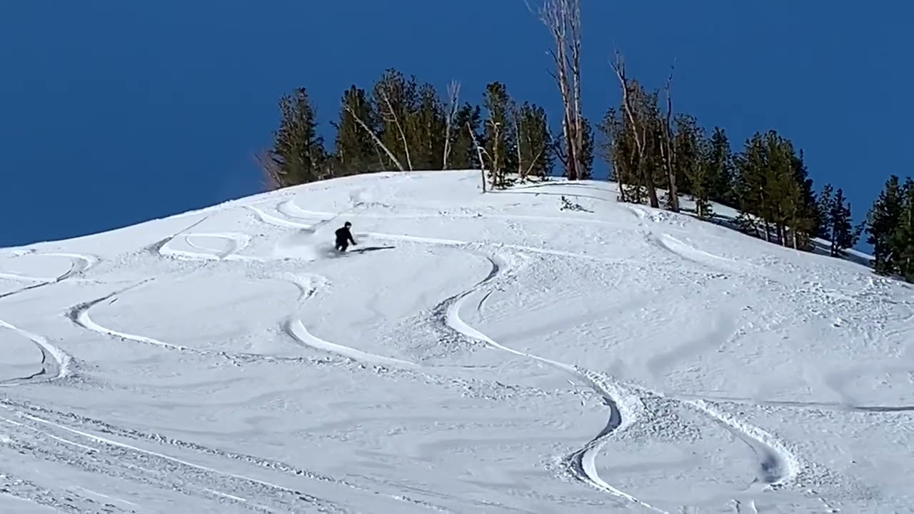 Bluebird Pow Day!  June mountain 2019
