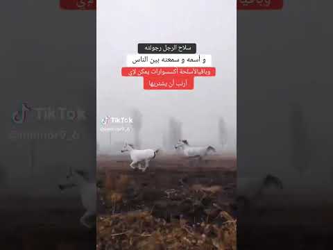 إذا خانتك قيم المبادئ فحاول ألا تخونك قيم الرجولة 