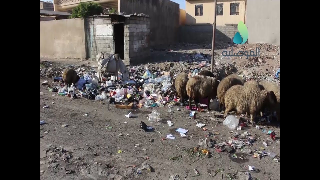 تفاقم معاناة اهالي منطقة القادسية بأيسر الموصل نتيجة تراكم النفايات وغياب الجهد البلدي