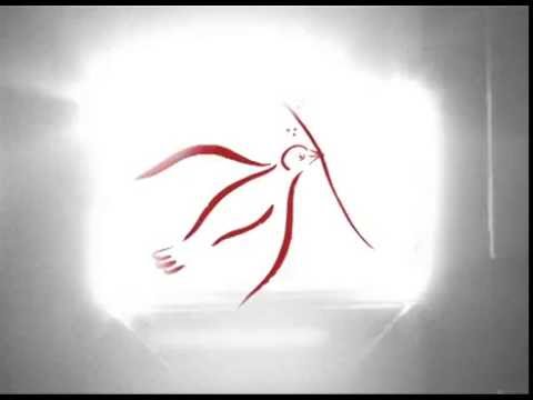 ნიქოზი 2016