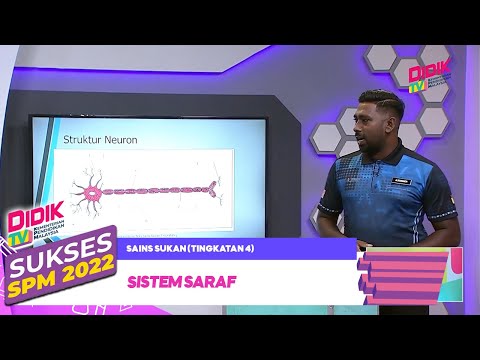 Video: Pembahagian sistem saraf autonomi yang manakah membangkitkan?