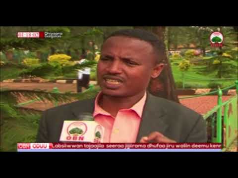 Hidha Haaromsaa 30 12 2010