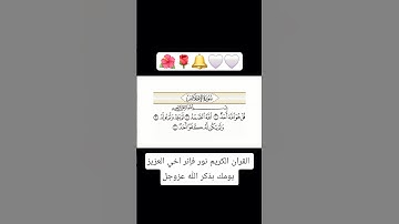 سورة الاخلاص #سورة_الإخلاص #قرآن #القرآن_الكريم #المصحف #تلاوة_خاشعة #القران