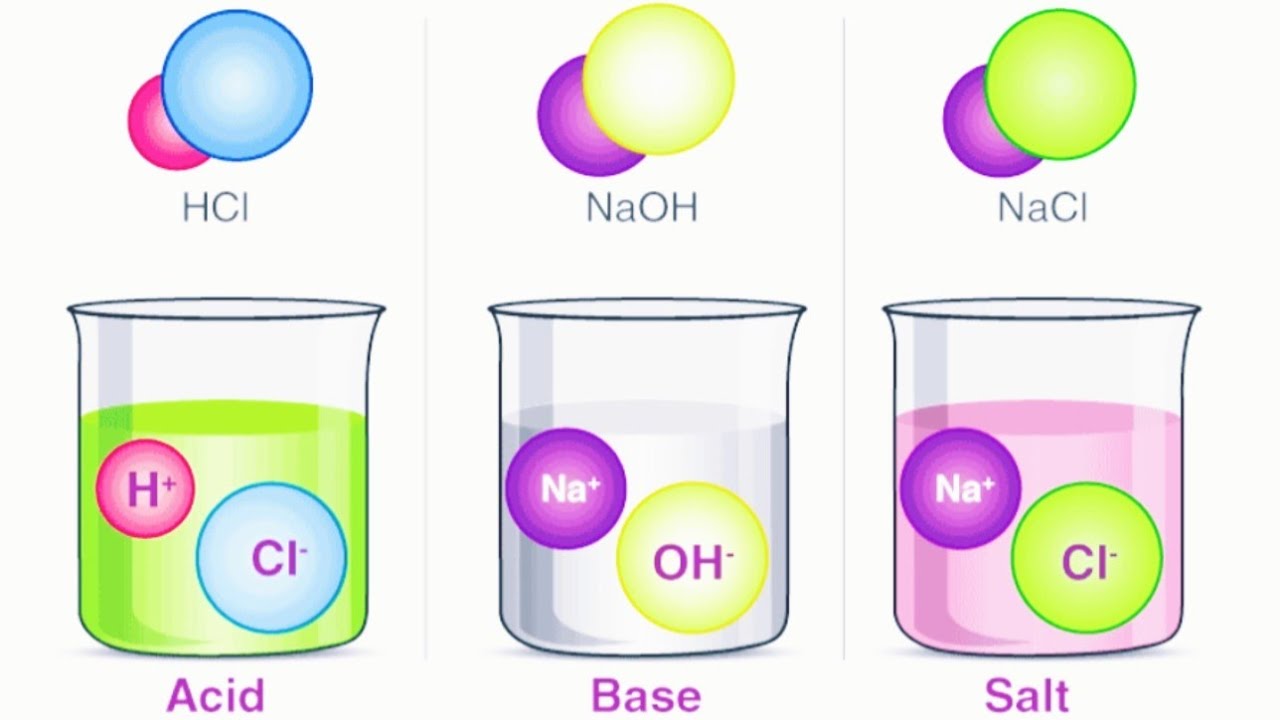 Acids Bases & Salts/ Amilangal Karangal matrum Uppugal / #Tnpsc - YouTube