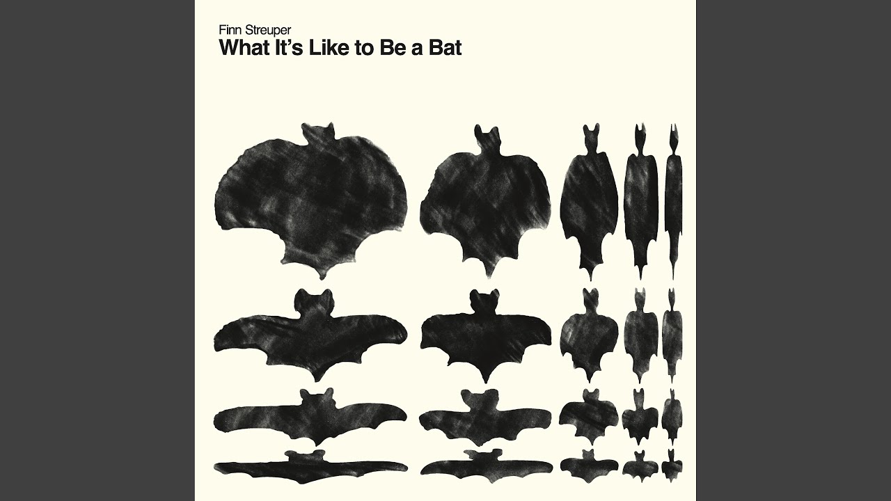 What It's Like to Be a Bat 1