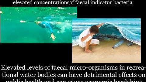Kizoa Video Maker: Ocean Pollution