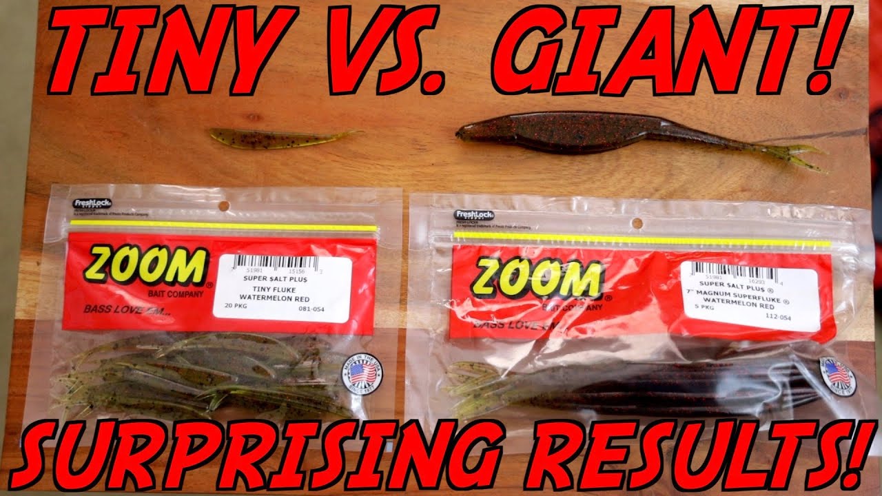TINY VS. GIANT Fluke Bass Fishing Challenge! Bass Manager The Best