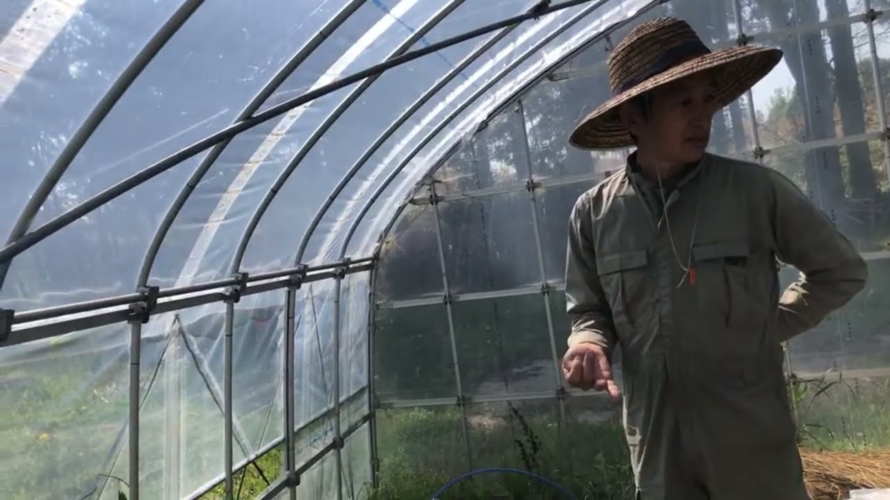 ただいまつきよみ食堂の野菜を届けてくれるわくわく自然農縁さんへ