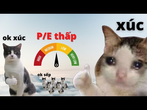 Video DẤU HIỆU nhận biết cổ phiếu ĐẮT hay RẺ - youtube