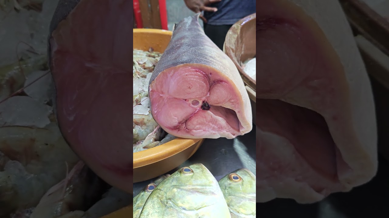 Saturday special 3/1/2025 