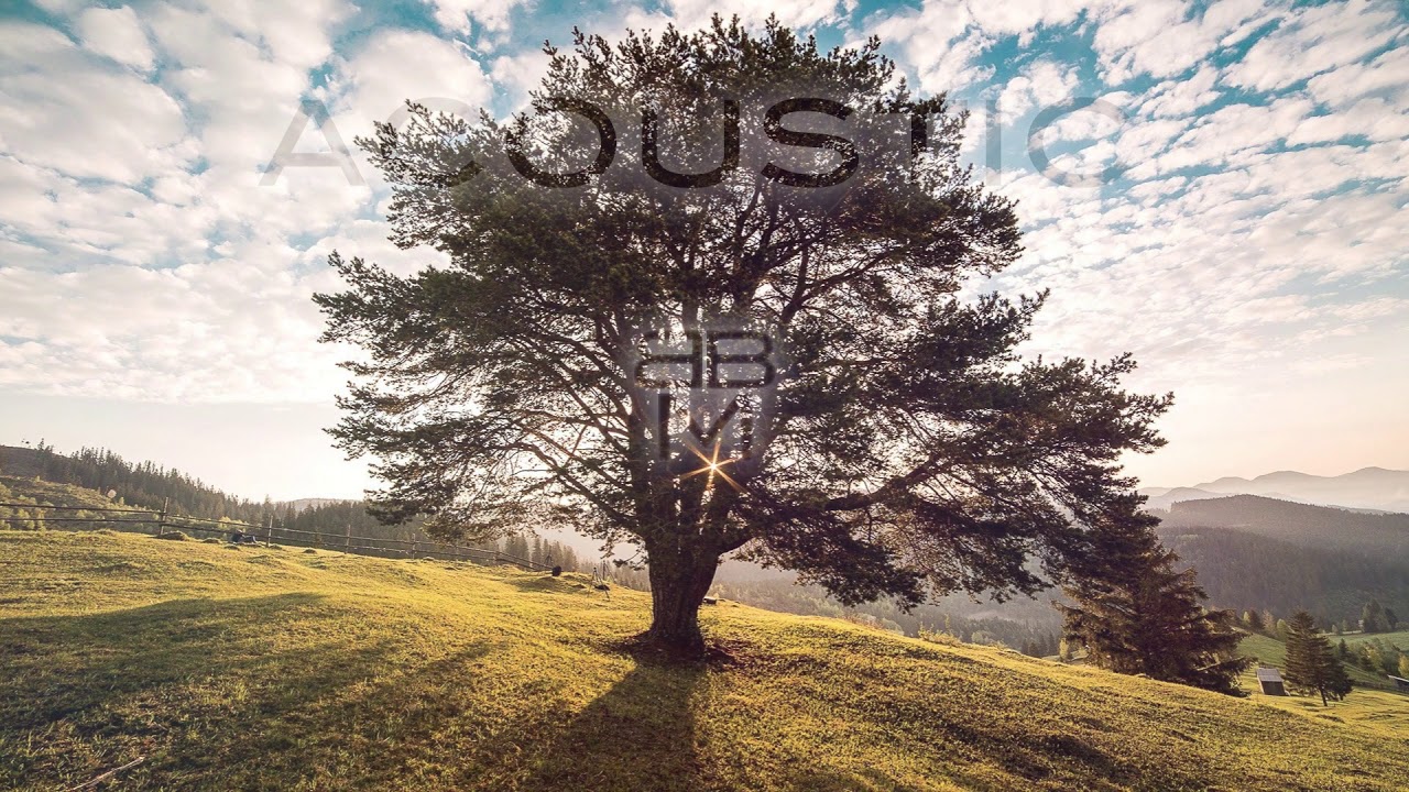 Acoustic Folk Background Music for Video YouTube