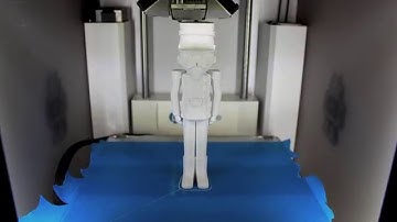 Nutcracker Timelapse