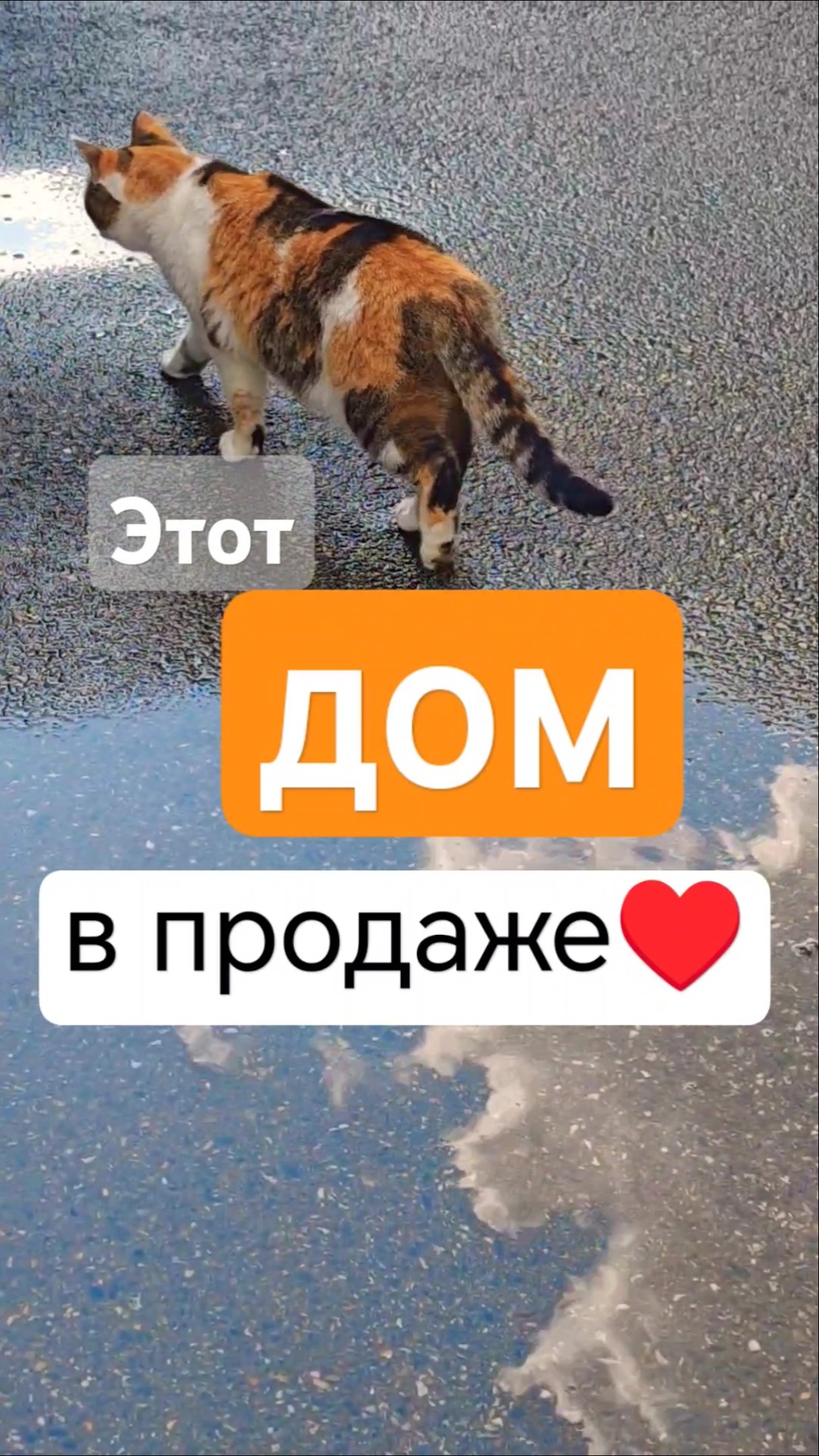 Купить каркасный дом в северской краснодарского края