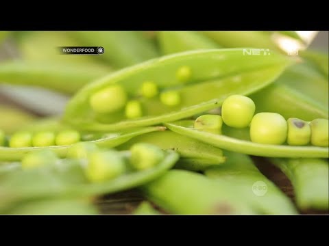 Video: Kacang Polong Dan Kacang - Bukan Untuk Makanan, Tetapi Untuk Kecantikan