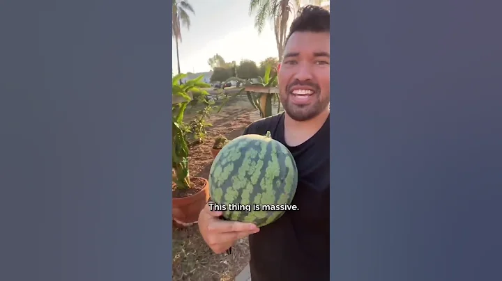 The color of this watermelon surprised me... - DayDayNews