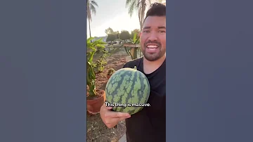 The color of this watermelon surprised me...