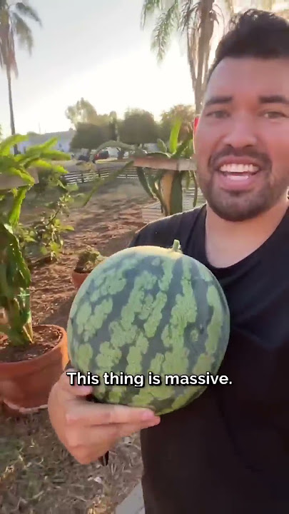 The color of this watermelon surprised me...