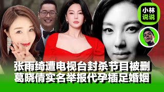 Download Lagu 张雨绮遭电视台封杀，节目被删，代言被下架，张雨绮前夫的前女友葛晓倩，实名举报其代孕，插足婚姻，视频音频流出｜张雨绮出轨｜袁巴元｜葛晓倩｜ MP3