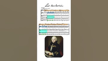 Boccherini String Quintet in E Major - Minuetto