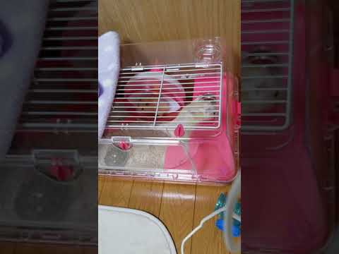 お前たち…