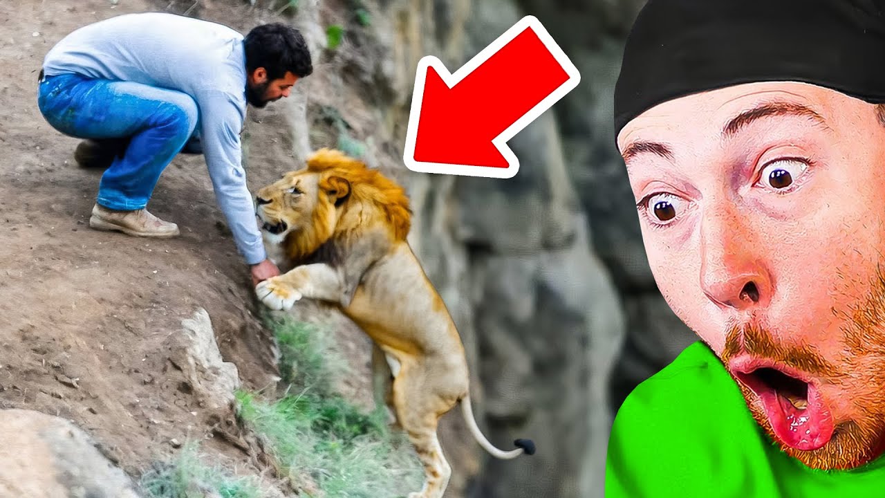 Most Unbelievable Moments Ever Caught On Camera!