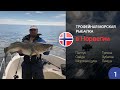 Крупная треска. Трофейная морская рыбалка в Норвегии (часть 1) Треска, сайда, палтус.