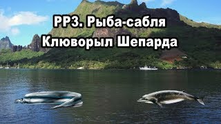 РР3.  Рыба сабля  Клюворыл Шепарда