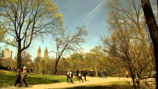 Smell the Snifference: Snuggle Bear in Central Park