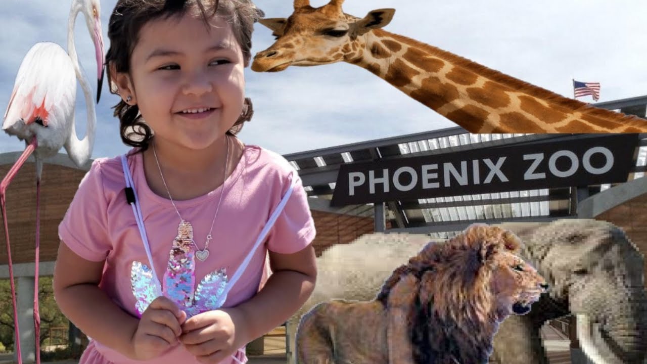 PHOENIX ZOO IN ARIZONA WITH US. YouTube
