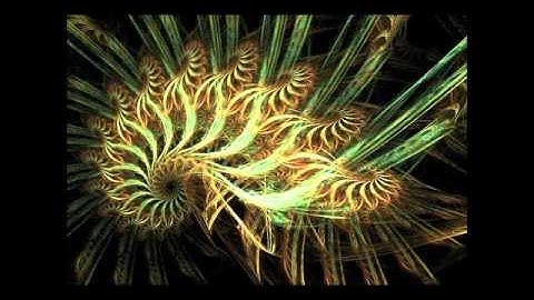 Loop Control - Exceptionally Beautiful