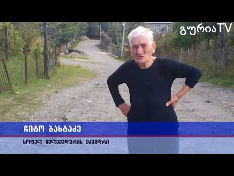 გურიის ახალი ამბები – ჩემი თემი, ჩემი სოფელი, ჩემი არჩევანი – შიდა გზები სოფელ მელექედურში