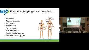 Katie Pelch, PhD | The Endocrine Disruption Exchange | TOXICS in EVERYDAY LIFE