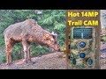CamPark 14MP Trail Camera Test -  High Quality Low Price Wildlife and Security CAM