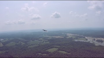 Nano Goblin vs Black Vulture — Fixed Wing FPV