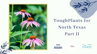 Tough Plants for North Texas Part II Perennials for Sun and Shade w Toni Moorehead