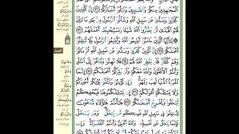 الصفحة 510 من المصحف الشريف سورة محمد مشروع حفظ القرآن الكريم