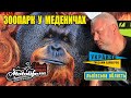 Зоопарк ЛІМПОПО у Меденичах - не очикував таке побачить!