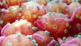Gut Bacteria and Parkinson's: A Potential Breakthrough in Treatment