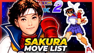 SAKURA☆ Season of the Sakura - Visual Novel for ZX Evolution - ZX-Art