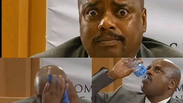 Julius Mkhwanazi Explains how he met Vusimuzi Cat Matlala after the ANC threatened EFF AND DA