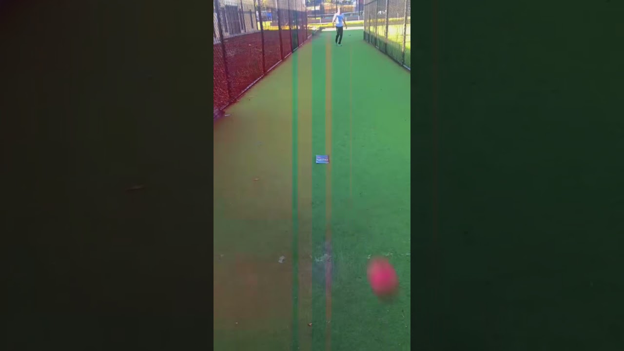 Trying to land the leg break on the book is harder than it looks 🏏