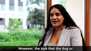 How Can You Tell if an Animal is a Service Animal
